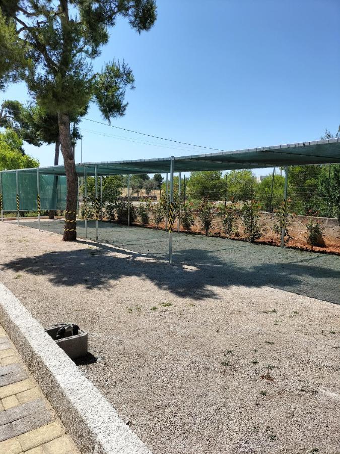 B&B Villa Vittorio Galatone Eksteriør bilde