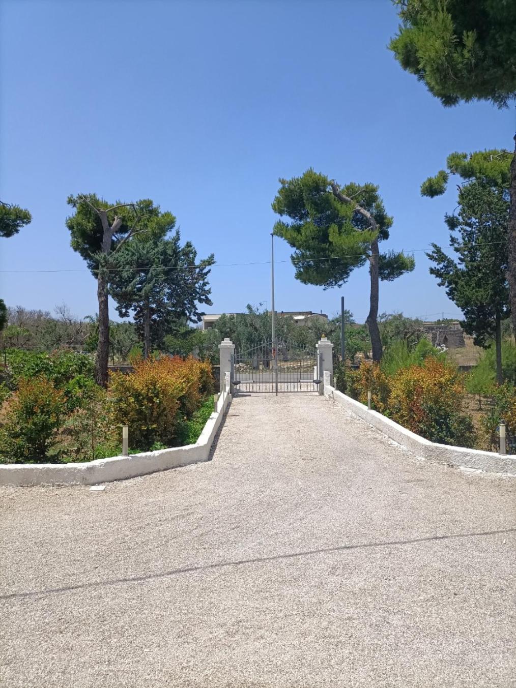 B&B Villa Vittorio Galatone Eksteriør bilde